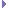 bullet