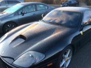 image1.jpeg