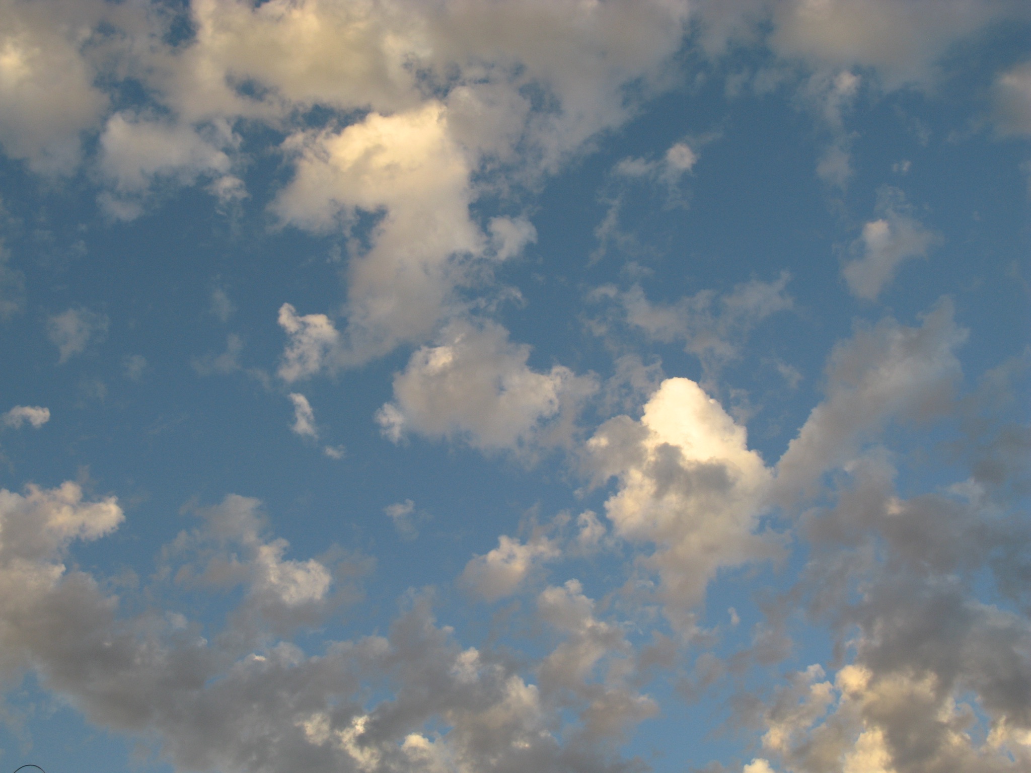 image1.JPG