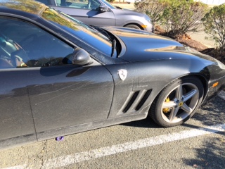 image1.jpeg