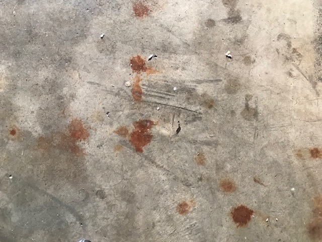 image2.jpeg