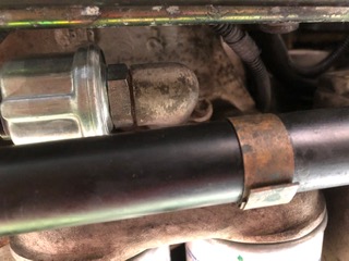 image1.jpeg